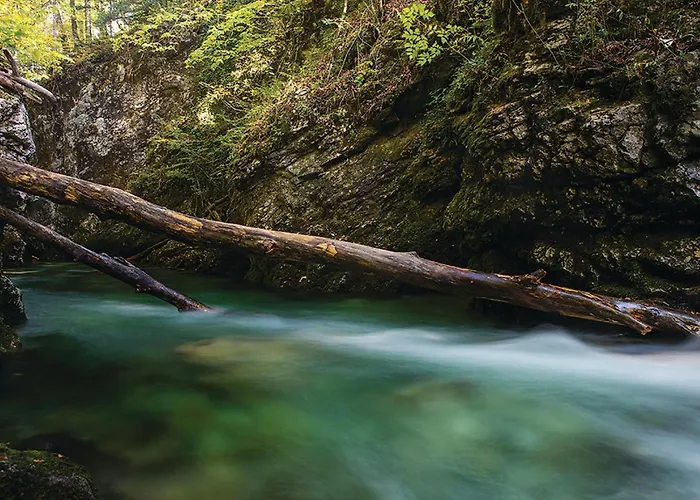 Awesome In With Kitchen Case de vacanță Stari Laz