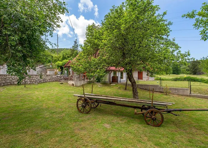 Case de vacanță Awesome In With Kitchen *